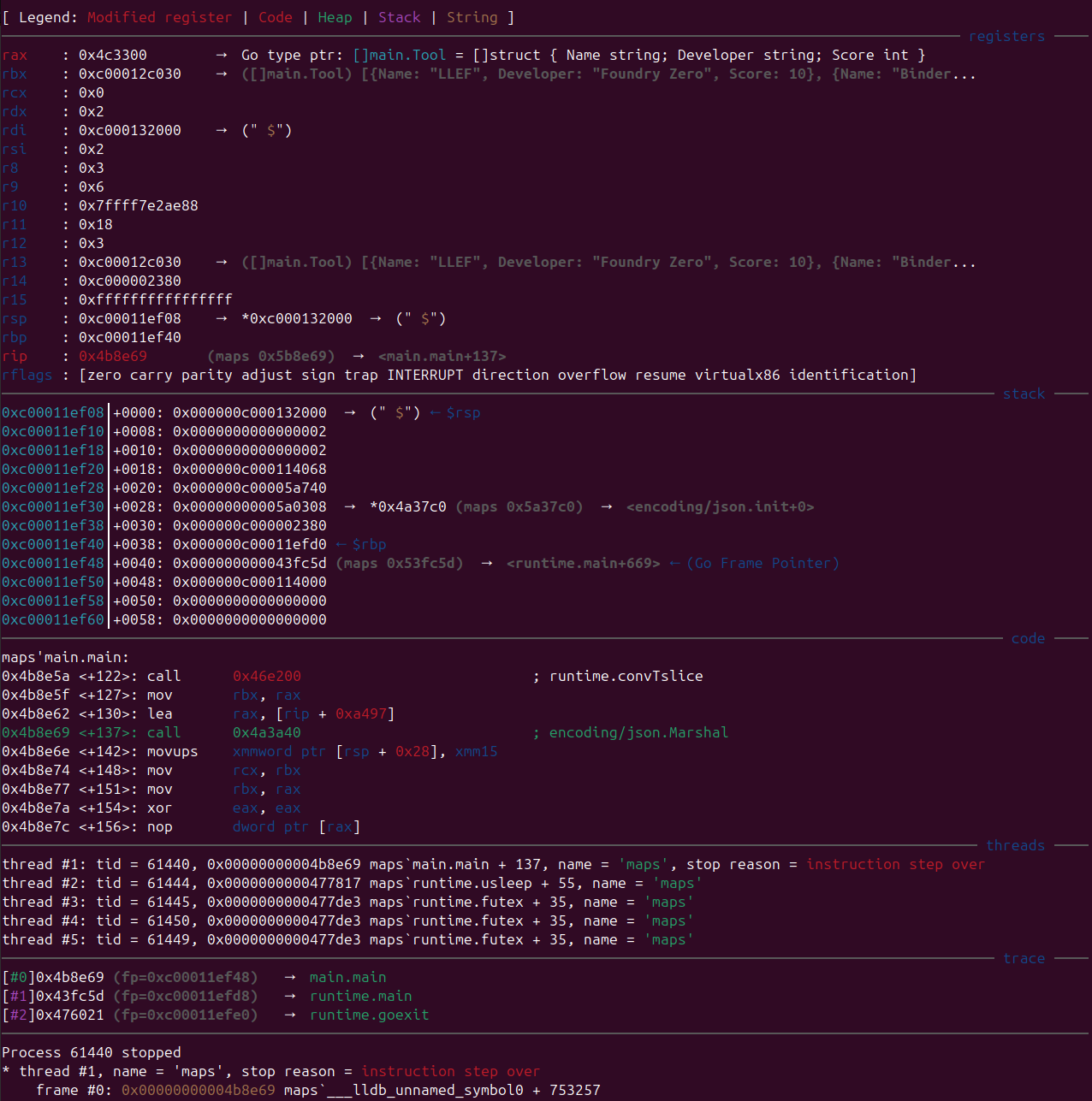 LLEF displaying Go structs